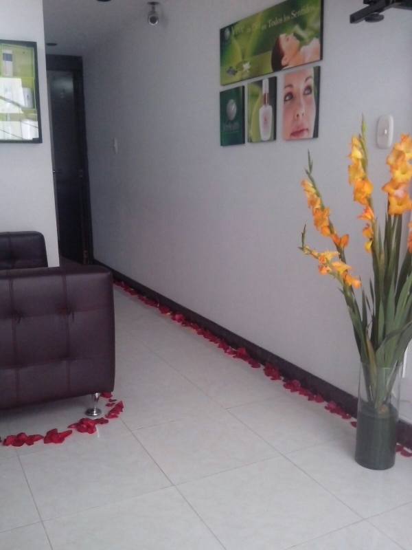 Servicio de depilación con cera en Spa Salud y Vida Sana